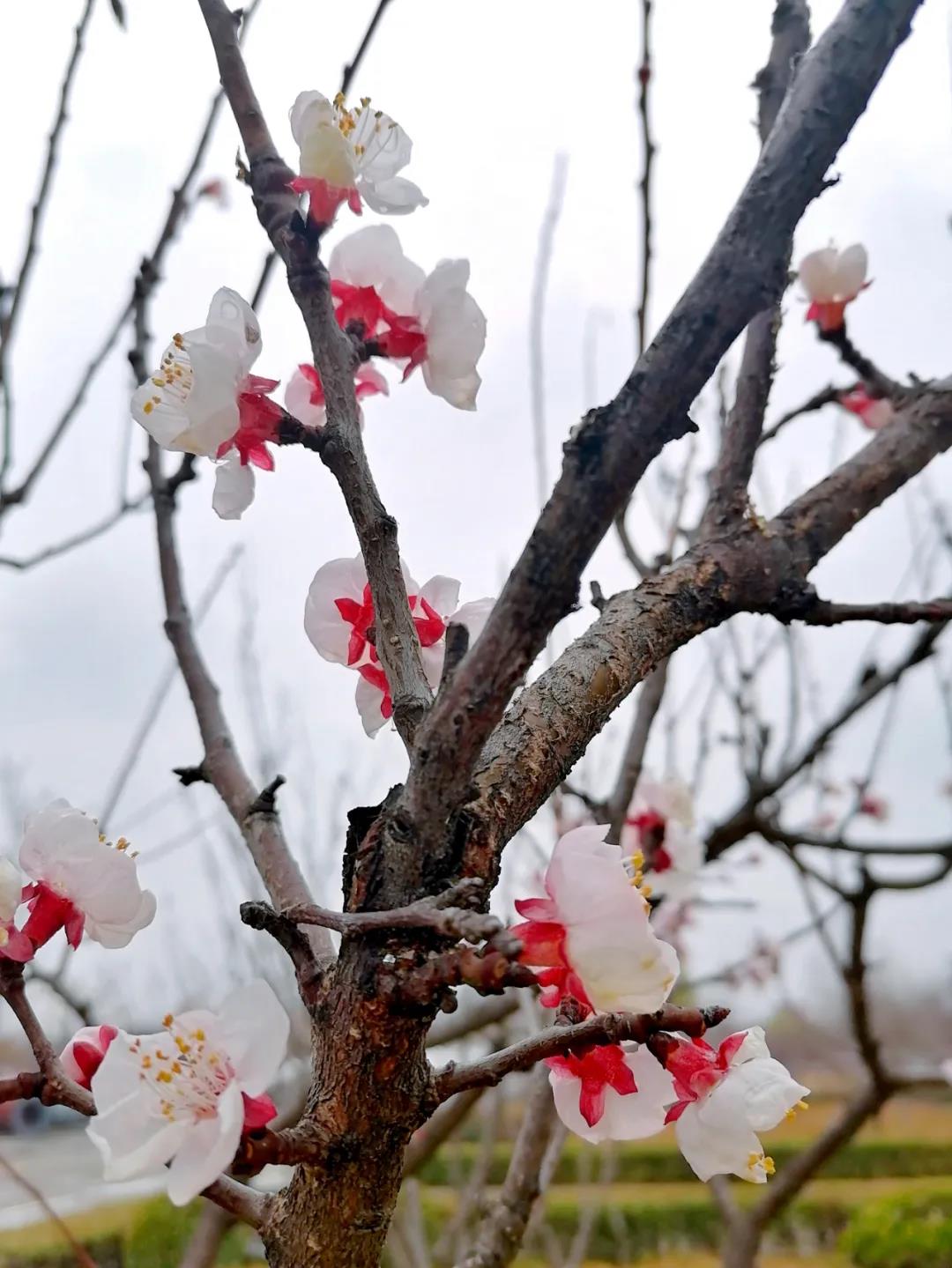 1xBET·Signup(中国游)-官方网站