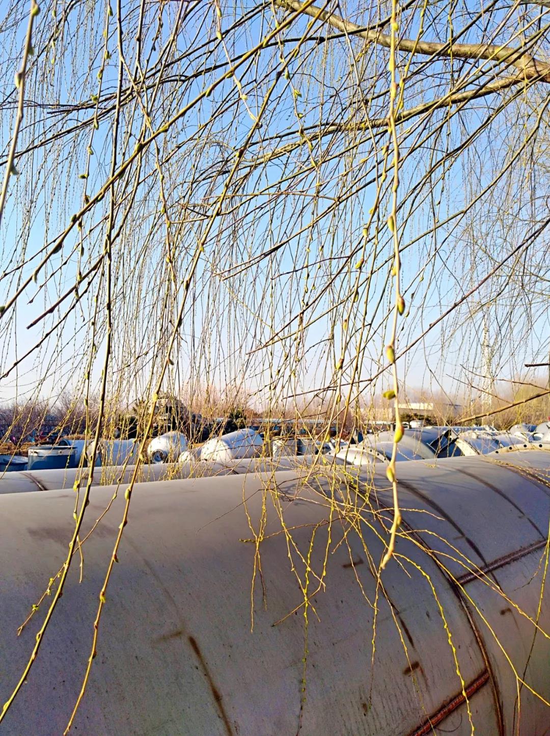 1xBET·Signup(中国游)-官方网站