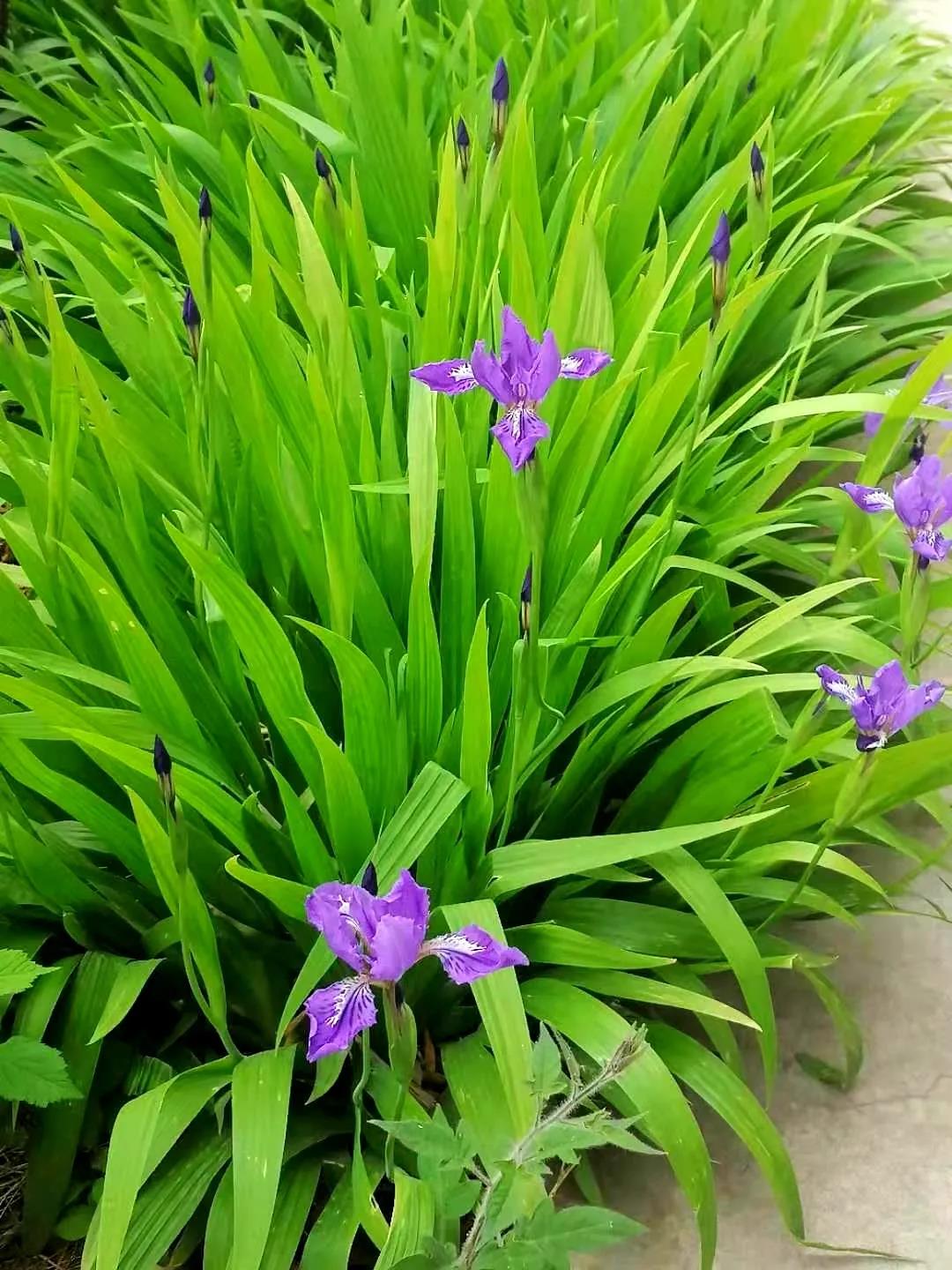 1xBET·Signup(中国游)-官方网站