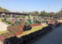 商丘栖凤山陵寝-晨曦园