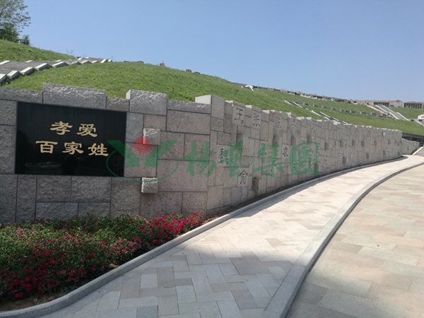 贝斯特 - 全球最奢华的游戏平台