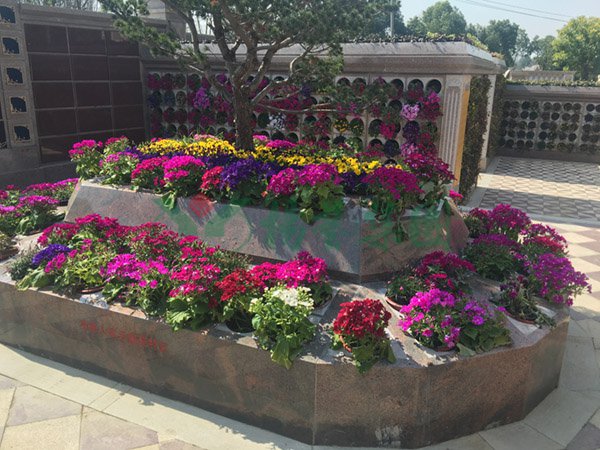 贝斯特 - 全球最奢华的游戏平台