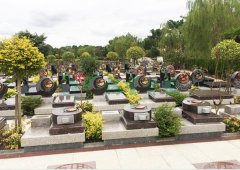 上；懔靶腔鹎