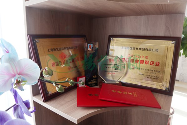 贝斯特 - 全球最奢华的游戏平台