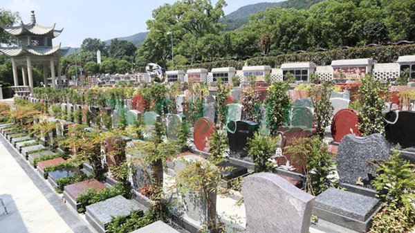 1-23092Q24331Q9 贝斯特 - 全球最奢华的游戏平台