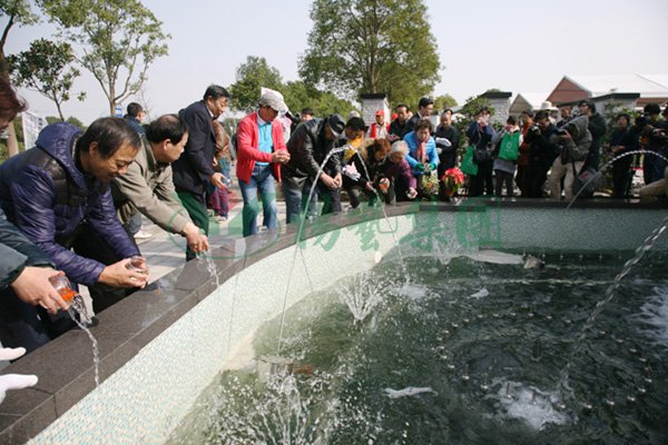 贝斯特 - 全球最奢华的游戏平台