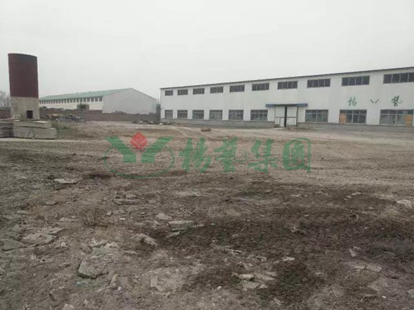 贝斯特 - 全球最奢华的游戏平台