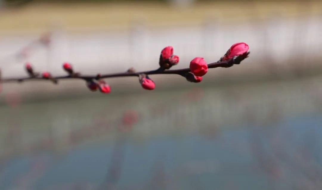 贝斯特 - 全球最奢华的游戏平台