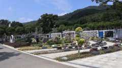 生态葬，让性命在绿意中永恒