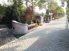 城市最后一平米：生态葬，是与天然的和解？还是无奈的选择？