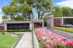 归于天然，泽被后世：解读现代生态葬及其创新趋向